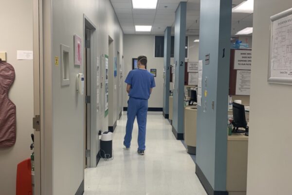 IMG_9751 Large IMG_9751 Large