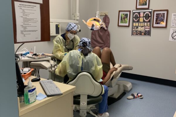 IMG_9800 Large IMG_9800 Large