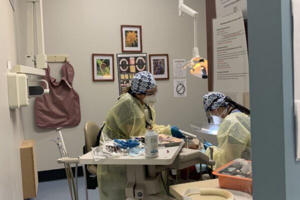 IMG_9829 Large IMG_9829 Large